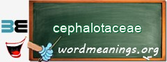 WordMeaning blackboard for cephalotaceae